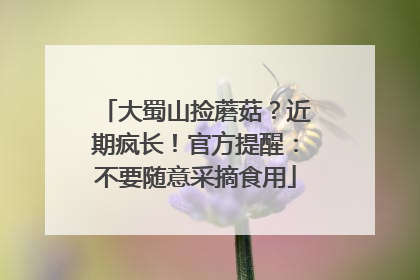 大蜀山捡蘑菇？近期疯长！官方提醒：不要随意采摘食用