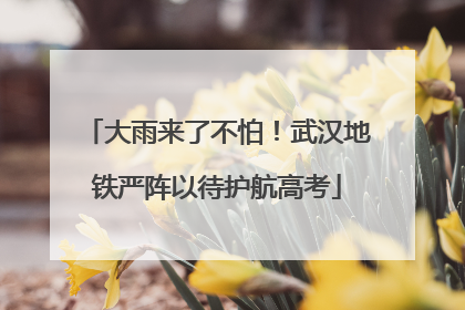 大雨来了不怕！武汉地铁严阵以待护航高考