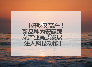 好吃又高产！新品种为安徽蔬菜产业高质发展注入科技动能