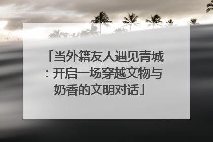 当外籍友人遇见青城：开启一场穿越文物与奶香的文明对话