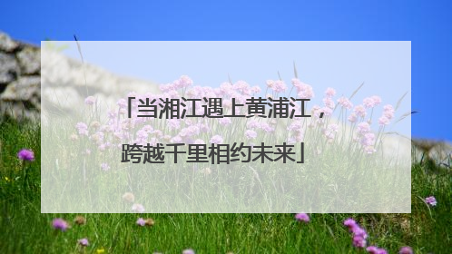 当湘江遇上黄浦江，跨越千里相约未来