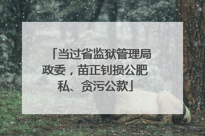 当过省监狱管理局政委，苗正钊损公肥私、贪污公款