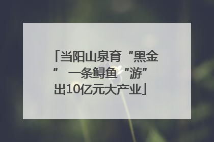 当阳山泉育“黑金” 一条鲟鱼“游”出10亿元大产业