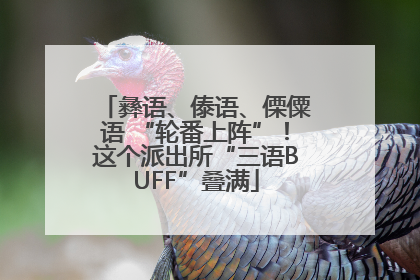 彝语、傣语、傈僳语 “轮番上阵”！这个派出所“三语BUFF”叠满