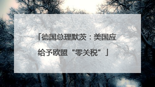 德国总理默茨：美国应给予欧盟“零关税”