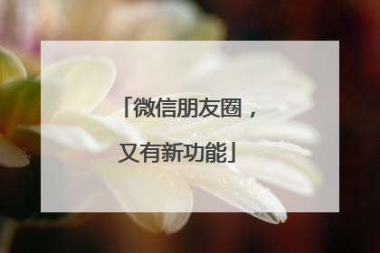 微信朋友圈，又有新功能