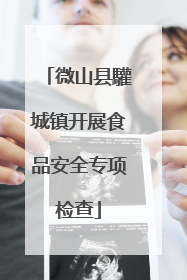 微山县驩城镇开展食品安全专项检查