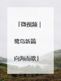 微视频｜鹭岛新篇 向海而歌