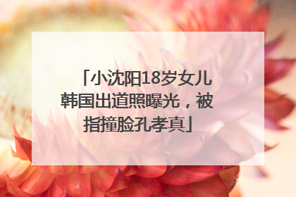 小沈阳18岁女儿韩国出道照曝光，被指撞脸孔孝真