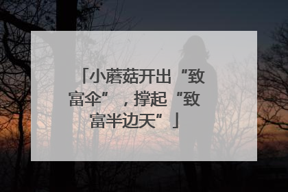 小蘑菇开出“致富伞”，撑起“致富半边天”