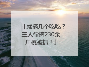 就摘几个吃吃？三人偷摘230余斤桃被抓！