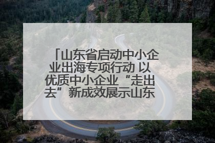 山东省启动中小企业出海专项行动 以优质中小企业“走出去”新成效展示山东产业发展新形象