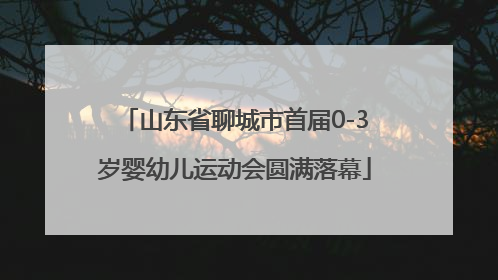 山东省聊城市首届0-3岁婴幼儿运动会圆满落幕