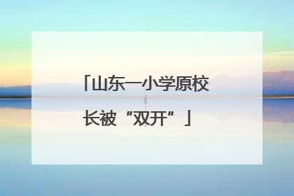 山东一小学原校长被“双开”