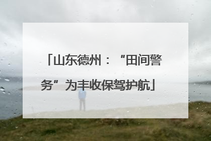 山东德州：“田间警务”为丰收保驾护航