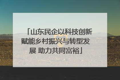 山东民企以科技创新赋能乡村振兴与转型发展 助力共同富裕