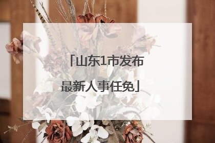 山东1市发布最新人事任免