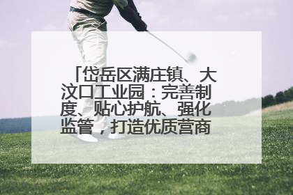 岱岳区满庄镇、大汶口工业园：完善制度、贴心护航、强化监管，打造优质营商“强磁场”