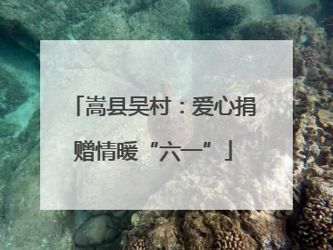 嵩县吴村：爱心捐赠情暖“六一”