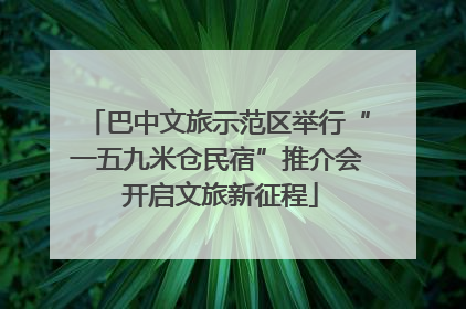 巴中文旅示范区举行“一五九米仓民宿”推介会 开启文旅新征程