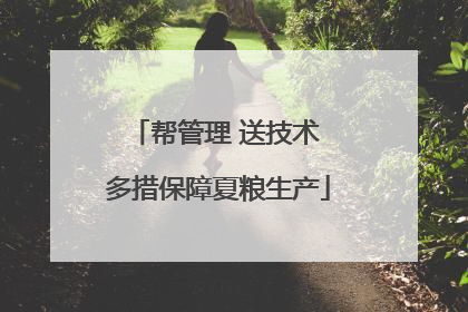 帮管理 送技术 多措保障夏粮生产