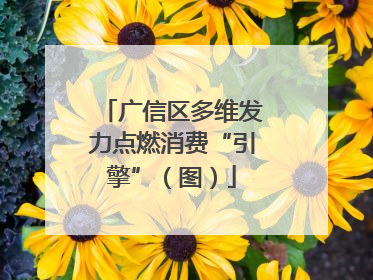 广信区多维发力点燃消费“引擎”（图）