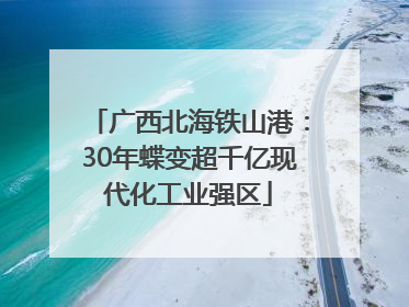广西北海铁山港：30年蝶变超千亿现代化工业强区