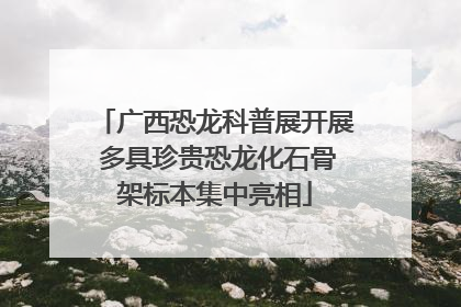 广西恐龙科普展开展 多具珍贵恐龙化石骨架标本集中亮相