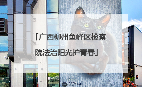 广西柳州鱼峰区检察院法治阳光护青春