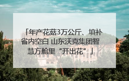 年产花菇3万公斤、填补省内空白 山东沃克集团智慧方舱里“开出花”