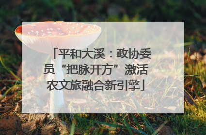 平和大溪：政协委员“把脉开方”激活农文旅融合新引擎
