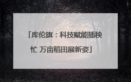 库伦旗：科技赋能插秧忙 万亩稻田展新姿