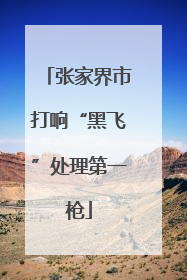 张家界市打响“黑飞”处理第一枪
