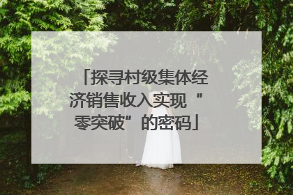 探寻村级集体经济销售收入实现“零突破”的密码