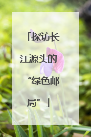 探访长江源头的“绿色邮局”