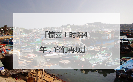 惊喜！时隔4年，它们再现