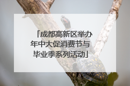 成都高新区举办年中大促消费节与毕业季系列活动