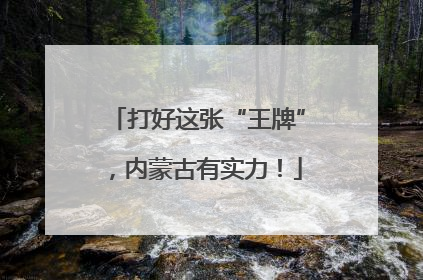 打好这张“王牌”，内蒙古有实力！