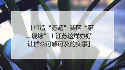 打造“苏超”赛区“第二现场”！江苏这样办好让群众可感可及的实事