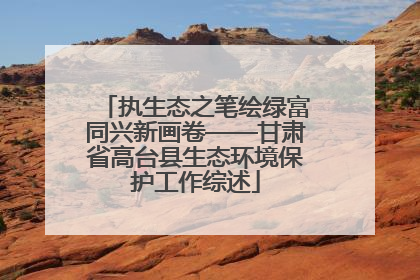 执生态之笔绘绿富同兴新画卷——甘肃省高台县生态环境保护工作综述
