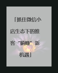 抓住微信小店生态下的推客“躺赚”新机遇