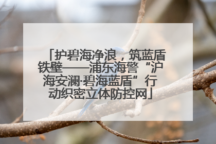 护碧海净浪，筑蓝盾铁壁——浦东海警“沪海安澜·碧海蓝盾”行动织密立体防控网