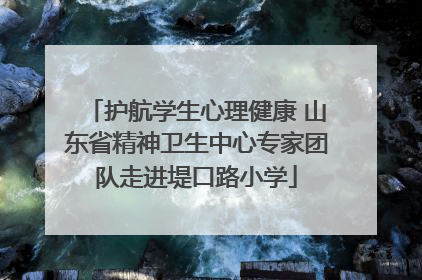 护航学生心理健康 山东省精神卫生中心专家团队走进堤口路小学