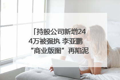 持股公司新增244万被强执 李亚鹏“商业版图”再陷泥潭？｜科技观察