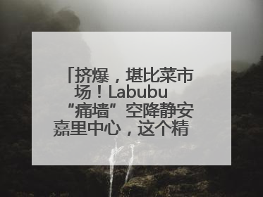 挤爆，堪比菜市场！Labubu“痛墙”空降静安嘉里中心，这个精灵还要“突袭”便利店？