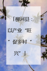 柳河县：以产业“旺”促乡村“兴”