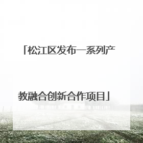 松江区发布一系列产教融合创新合作项目