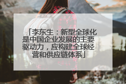 李东生：新型全球化是中国企业发展的主要驱动力，应构建全球经营和供应链体系