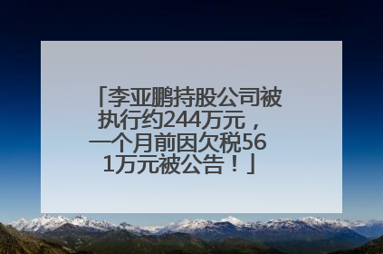 李亚鹏持股公司被执行约244万元，一个月前因欠税561万元被公告！