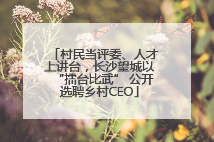 村民当评委、人才上讲台，长沙望城以“擂台比武” 公开选聘乡村CEO